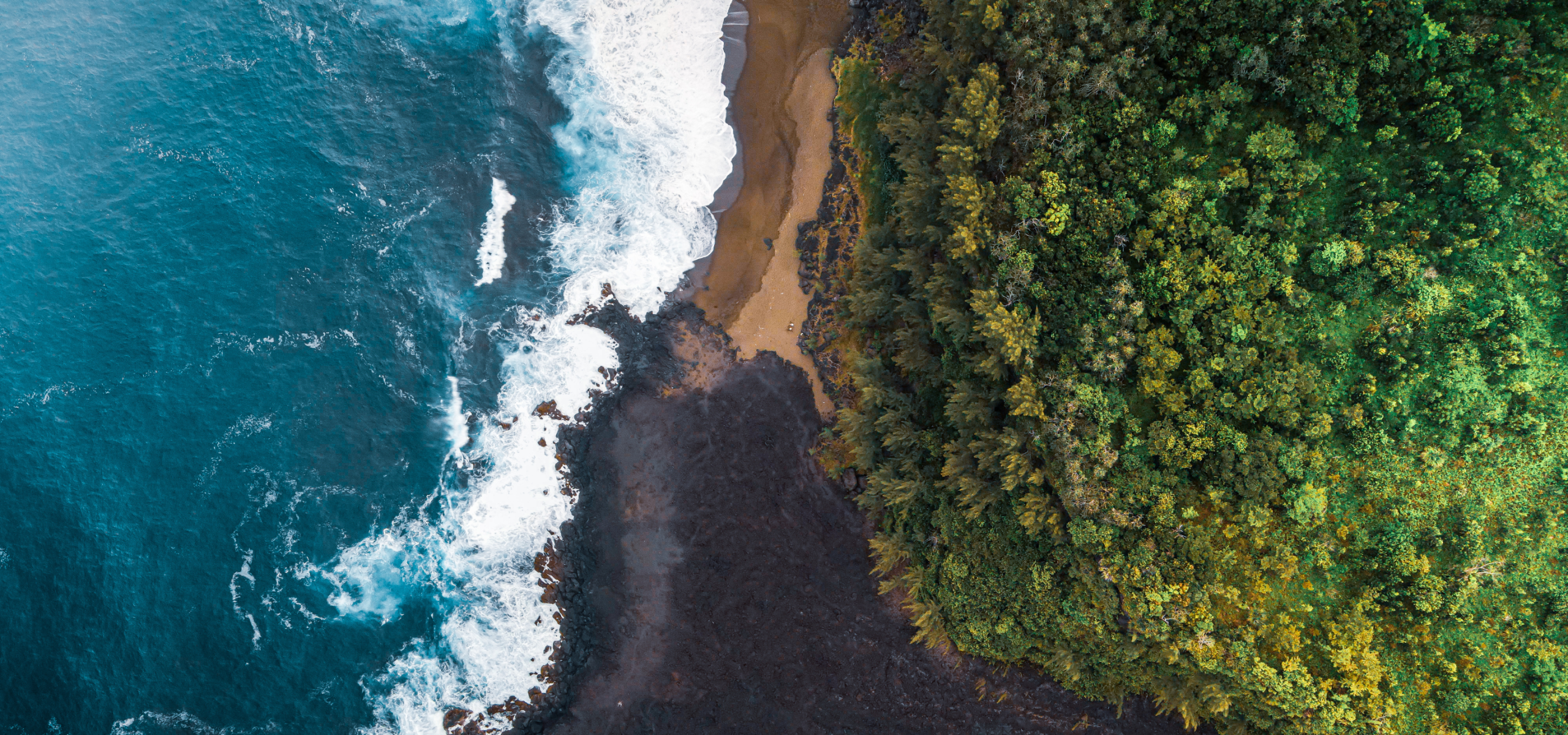 Carbon in context: towards a coherent climate strategy for Mauritius